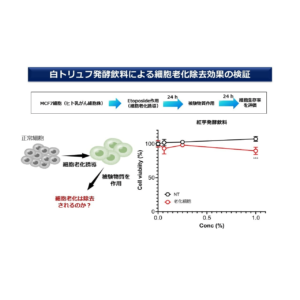 白トリュフ発酵飲料・紅芋 - 画像 (9)